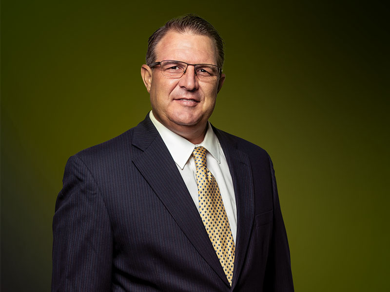 Alacrinet Consulting Services: Detect, Prevent & Protect