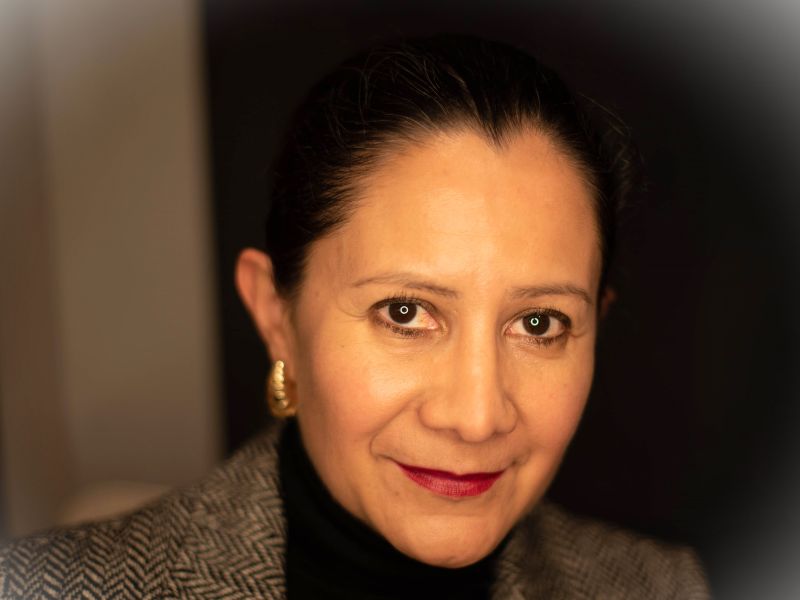 Leveraging Data Analytics and Artificial Intelligence to Streamline Compliance Investigations